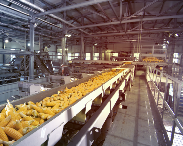 INDUSTRIA ALIMENTARE